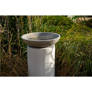 Ricotta Circular Plinth 75cm With Flight Shark Bowl